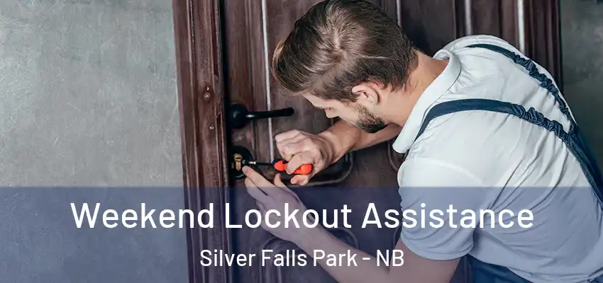  Weekend Lockout Assistance Silver Falls Park - NB